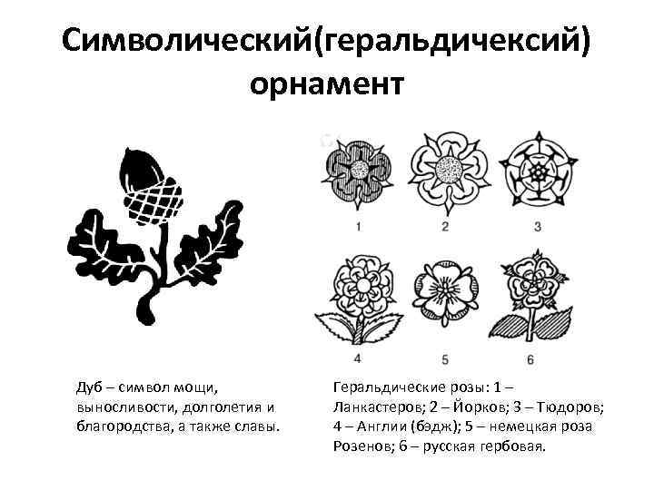 Символический(геральдичексий) орнамент Дуб – символ мощи, выносливости, долголетия и благородства, а также славы. Геральдические