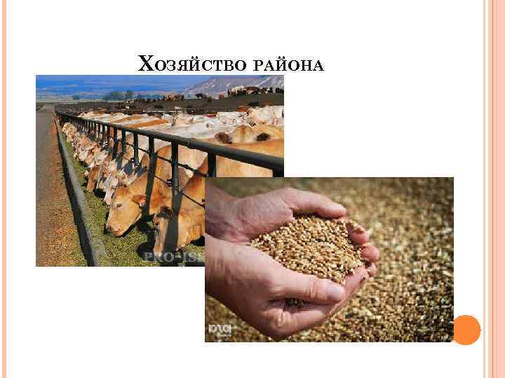 ХОЗЯЙСТВО РАЙОНА 