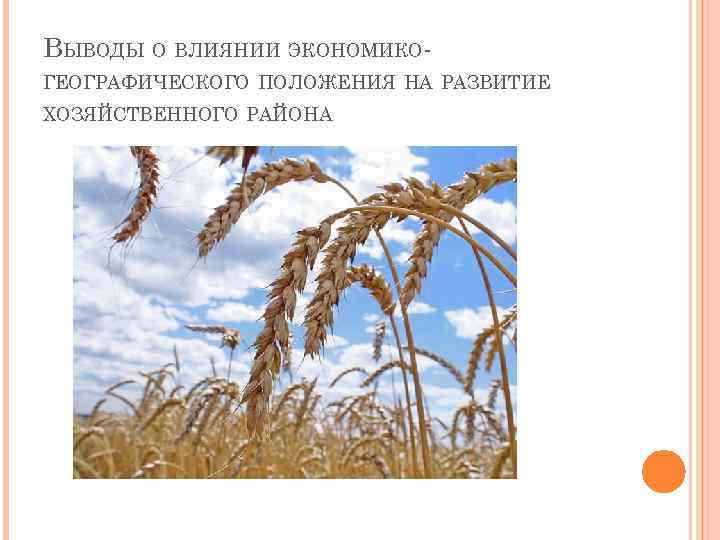 ВЫВОДЫ О ВЛИЯНИИ ЭКОНОМИКОГЕОГРАФИЧЕСКОГО ПОЛОЖЕНИЯ НА РАЗВИТИЕ ХОЗЯЙСТВЕННОГО РАЙОНА 