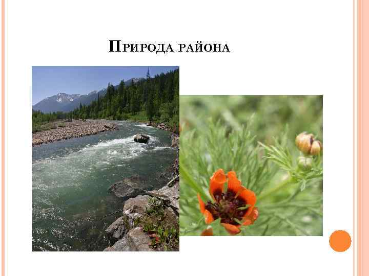 ПРИРОДА РАЙОНА 