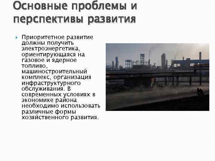 Основные проблемы и перспективы развития Приоритетное развитие должны получить электроэнергетика, ориентирующаяся на газовое и