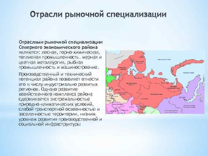 Отраслями рыночной специализации Северного экономического района являются: лесная, горно-химическая, топливная промышленность. мерная и цветная