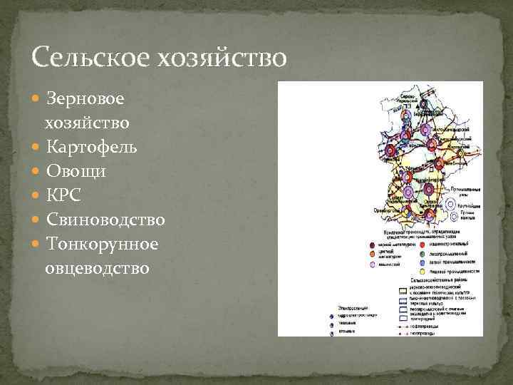 Cельское хозяйство Зерновое хозяйство Картофель Овощи КРС Свиноводство Тонкорунное овцеводство 