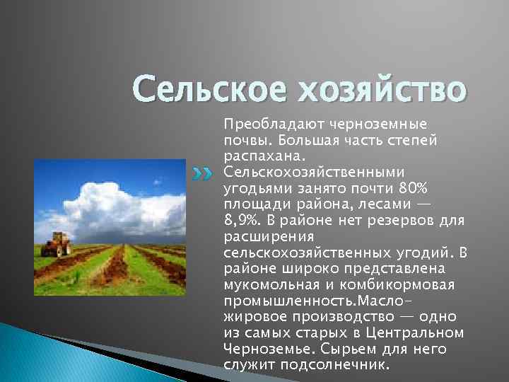 Вывод о сельском хозяйстве. Центрально-Чернозёмный экономический район сельское хозяйство. Центральный Черноземный район сельское хозяйство. Хозяйство Центрально Черноземного района. Сельское хозяйство центрального экономического района хозяйство.