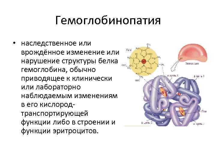 Гемоглобинопатия • наследственное или врождённое изменение или нарушение структуры белка гемоглобина, обычно приводящее к