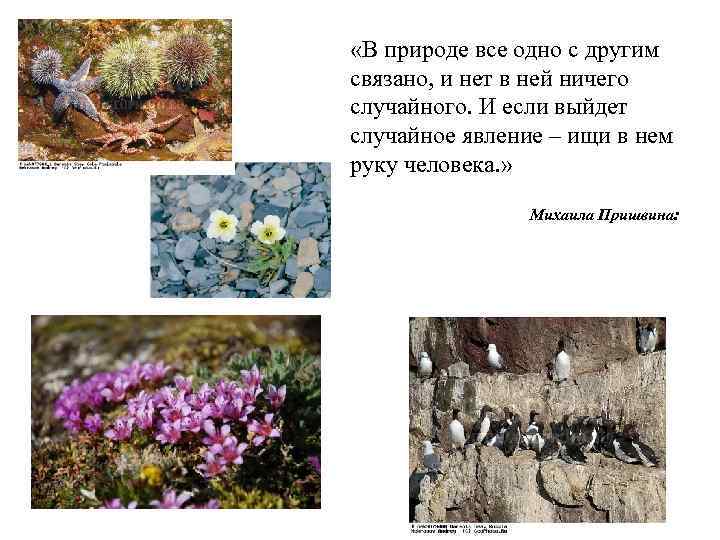 «В природе все одно с другим связано, и нет в ней ничего случайного.