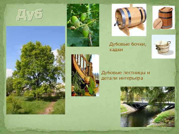 Дуб Дубовые бочки, кадки Дубовые лестницы и детали интерьера 