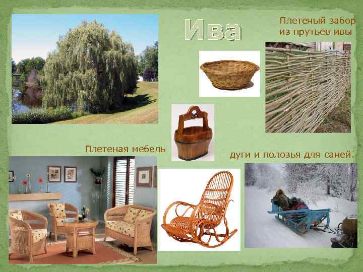 Ива Плетеная мебель Плетеный забор из прутьев ивы дуги и полозья для саней. 