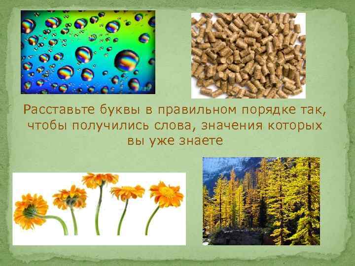 Расставьте буквы в правильном порядке так, чтобы получились слова, значения которых вы уже знаете