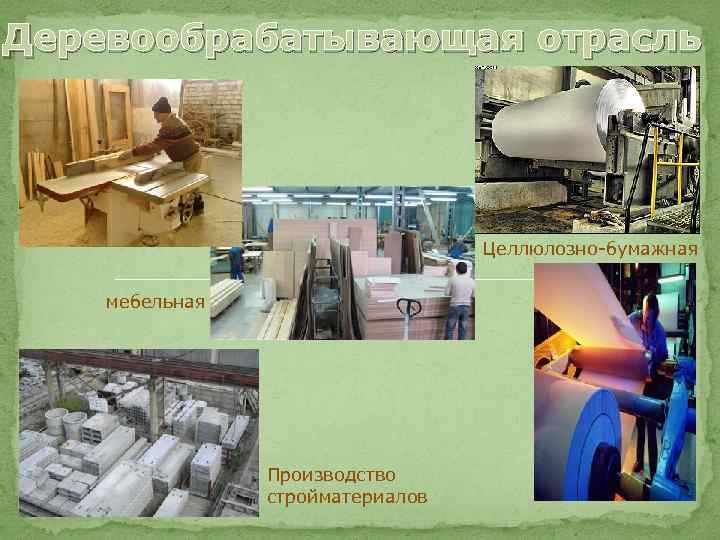 Деревообрабатывающая отрасль Целлюлозно-бумажная мебельная Производство стройматериалов 