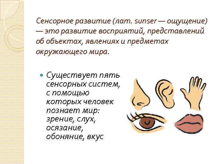 Сенсорное развитие (лат. sunser — ощущение) — это развитие восприятий, представлений об объектах, явлениях