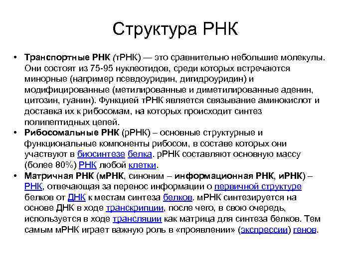Структура РНК • Транспортные РНК (т. РНК) — это сравнительно небольшие молекулы. Они состоят