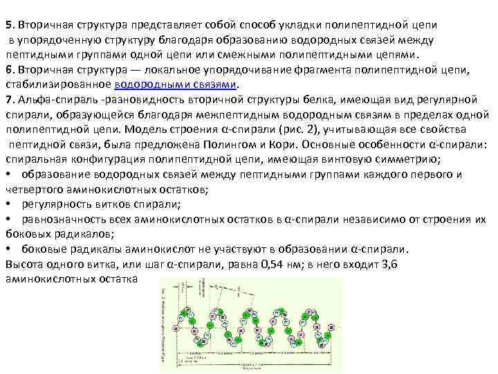 5. Вторичная структура представляет собой способ укладки полипептидной цепи в упорядоченную структуру благодаря образованию
