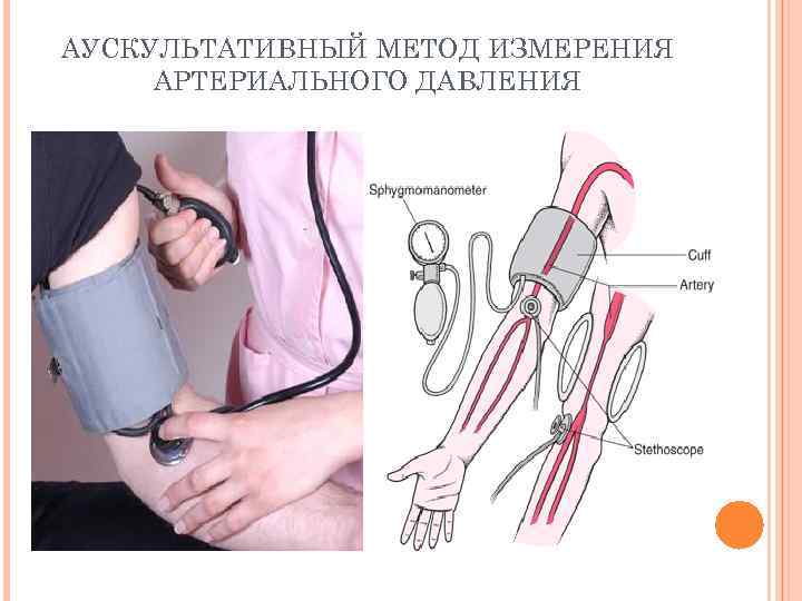 Алгоритм измерения давления. Измерение артериального давления по методу Короткова. Измерение давления аускультативным методом. Аускультативный метод измерения артериального давления. Аускультативный метод измерения ад (метод Короткова).