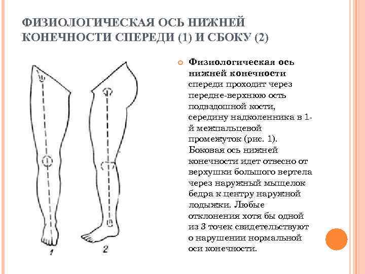 ФИЗИОЛОГИЧЕСКАЯ ОСЬ НИЖНЕЙ КОНЕЧНОСТИ СПЕРЕДИ (1) И СБОКУ (2) Физиологическая ось нижней конечности спереди