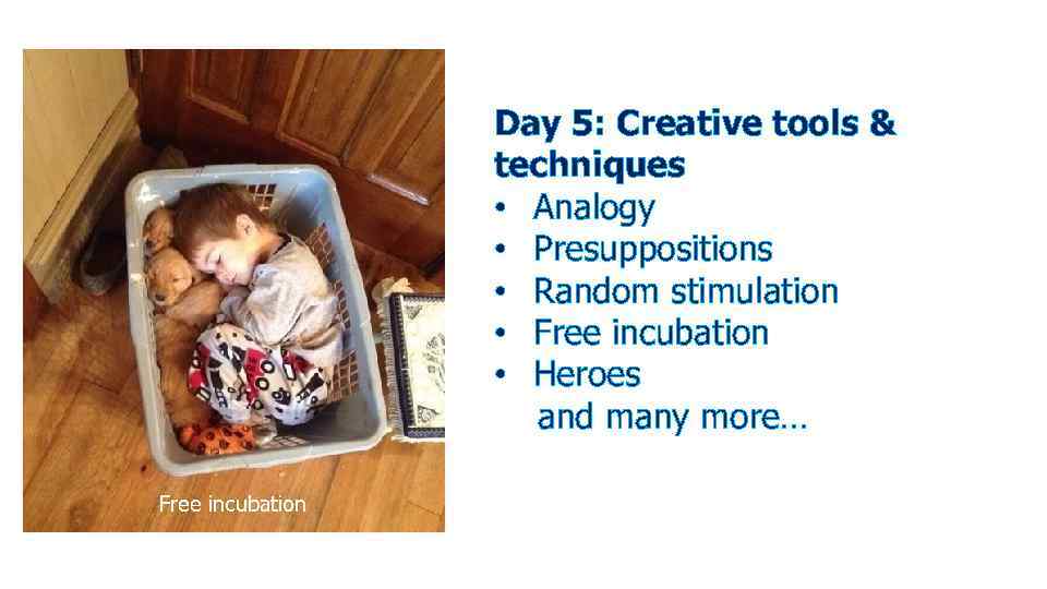 Day 5: Creative tools & techniques • Analogy • Presuppositions • Random stimulation •