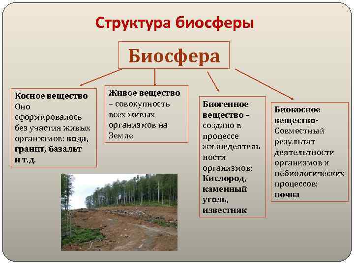 Структура биосферы Биосфера Косное вещество Оно сформировалось без участия живых организмов: вода, гранит, базальт