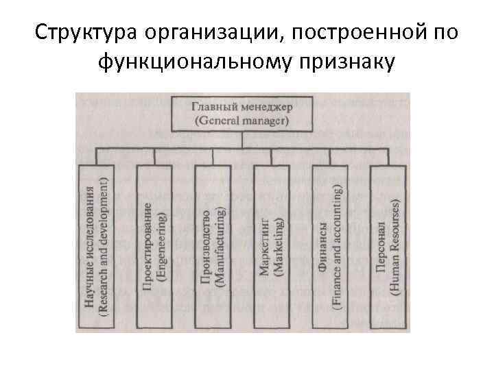 Структура организации, построенной по функциональному признаку 