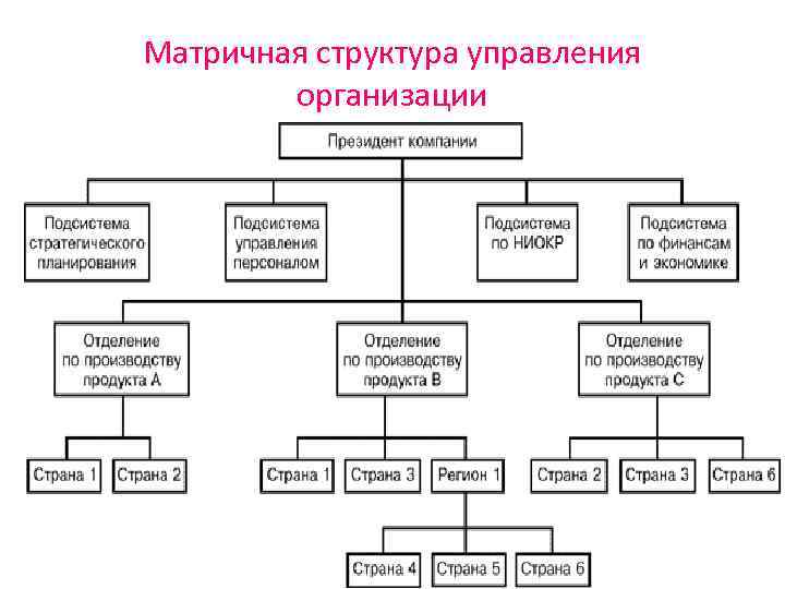 Матричная структура управления проектом