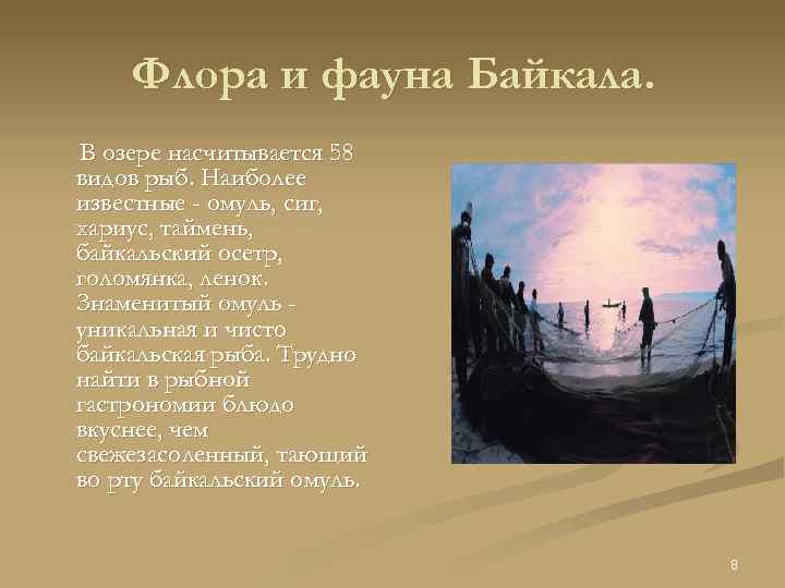 Флора и фауна Байкала. В озере насчитывается 58 видов рыб. Наиболее известные - омуль,