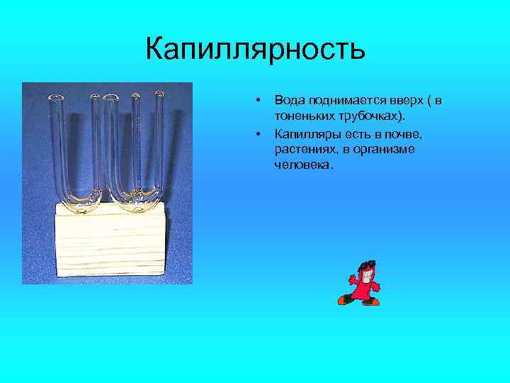 Капиллярность • • Вода поднимается вверх ( в тоненьких трубочках). Капилляры есть в почве,