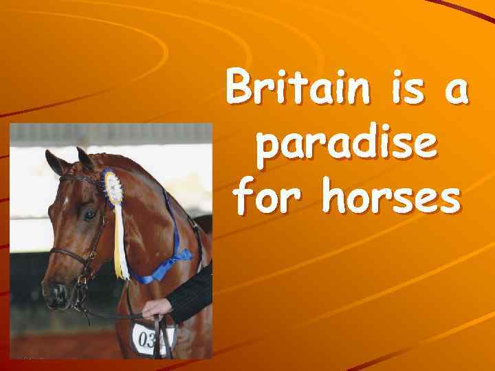Britain is a paradise for horses 