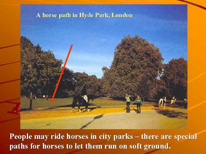 A horse path in Hyde Park, London People may ride horses in city parks