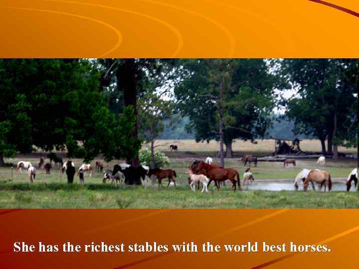 She has the richest stables with the world best horses. 