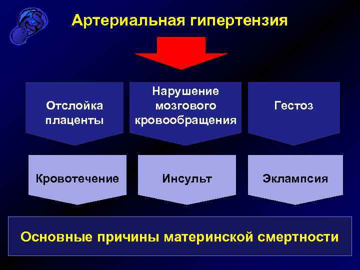 Артериальная гипертензия Отслойка плаценты Нарушение мозгового кровообращения Гестоз Кровотечение Инсульт Эклампсия Основные причины материнской