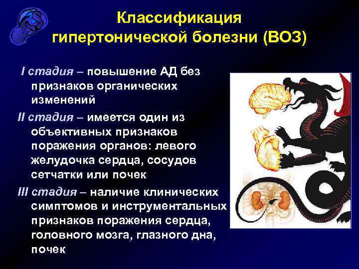 Классификация гипертонической болезни (ВОЗ) I стадия – повышение АД без признаков органических изменений II