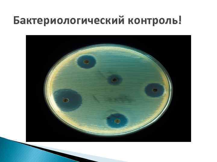 Бактериологический контроль! 