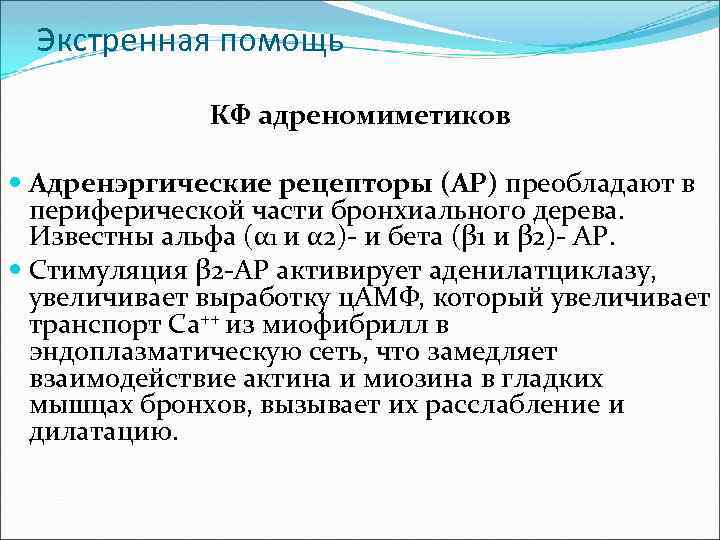 Экстренная помощь КФ адреномиметиков Адренэргические рецепторы (АР) преобладают в периферической части бронхиального дерева. Известны