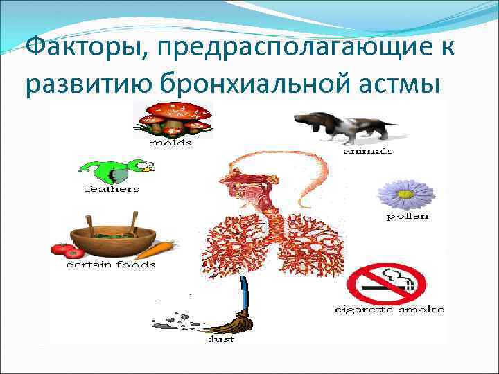 Факторы, предрасполагающие к развитию бронхиальной астмы 