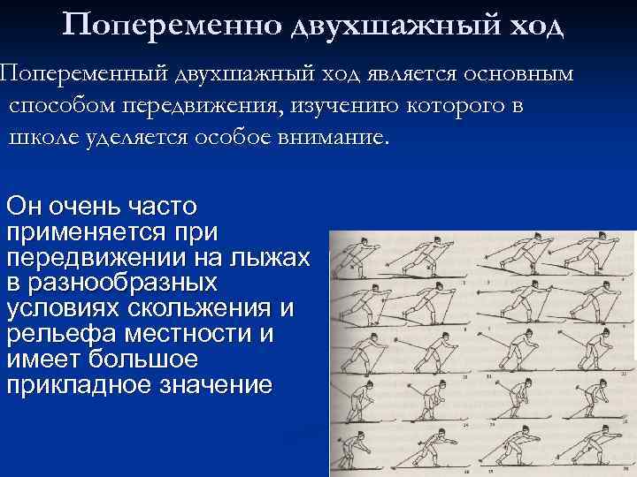 Попеременно двухшажный ход Попеременный двухшажный ход является основным способом передвижения, изучению которого в школе