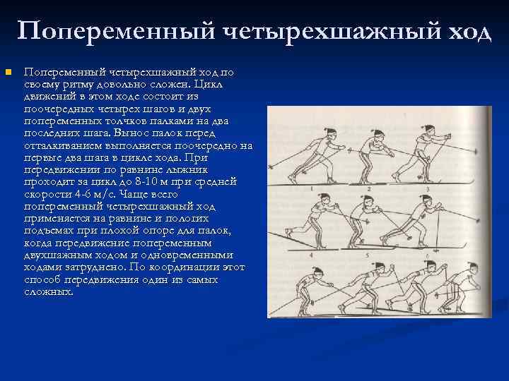 Попеременный четырехшажный ход n Попеременный четырехшажный ход по своему ритму довольно сложен. Цикл движений