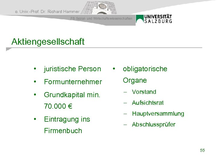 o. Univ. -Prof. Dr. Richard Hammer FB Sozial- und Wirtschaftswissenschaften Aktiengesellschaft • juristische Person