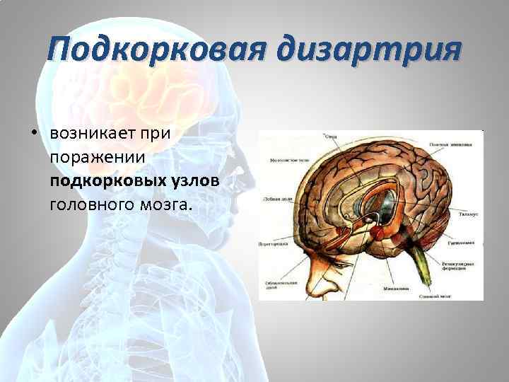 Массаж лица при дизартрии у детей в картинках