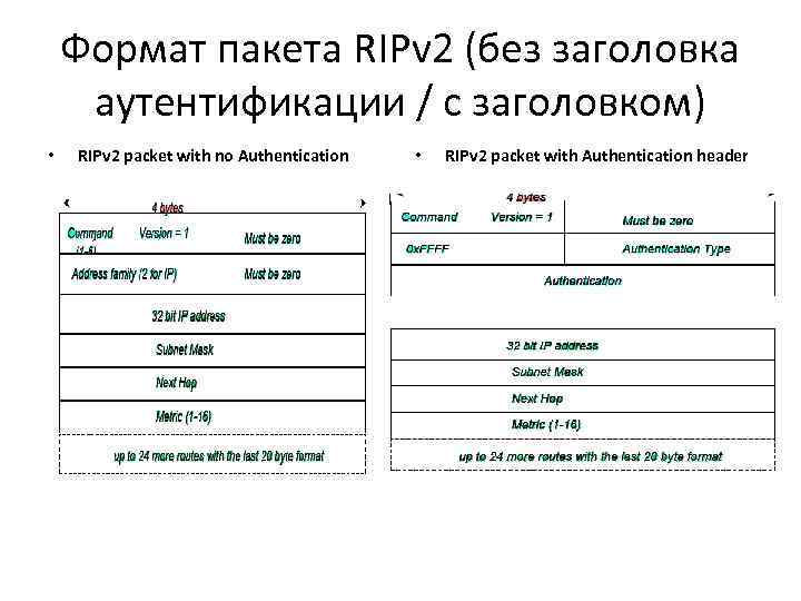 Формат пакета RIPv 2 (без заголовка аутентификации / с заголовком) • RIPv 2 packet