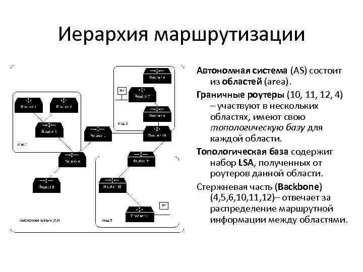 Иерархия маршрутизации Автономная система (AS) состоит из областей (area). Граничные роутеры (10, 11, 12,