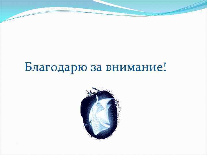 Благодарю за внимание! 