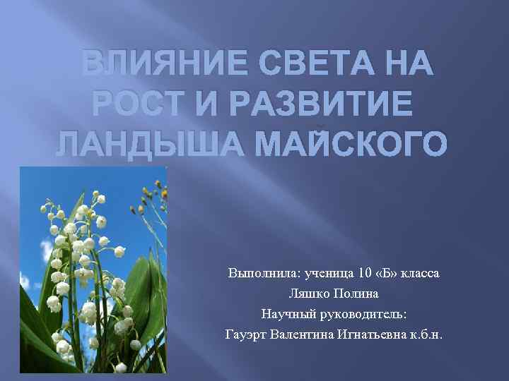 ВЛИЯНИЕ СВЕТА НА РОСТ И РАЗВИТИЕ ЛАНДЫША МАЙСКОГО Выполнила: ученица 10 «Б» класса Ляшко