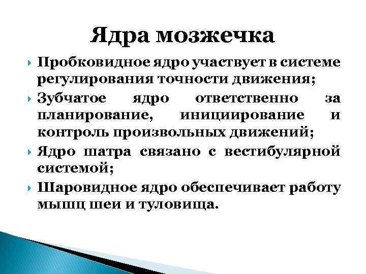 Ядра мозжечка Пробковидное ядро участвует в системе регулирования точности движения; Зубчатое ядро ответственно за
