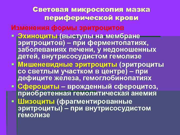 Световая микроскопия мазка периферической крови Изменения формы эритроцитов § Эхиноциты (выступы на мембране эритроцитов)