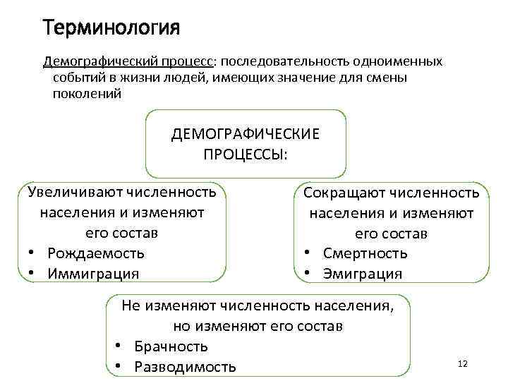 Процессы демографии