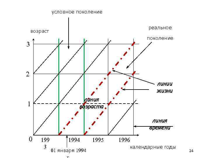 Линия поколений