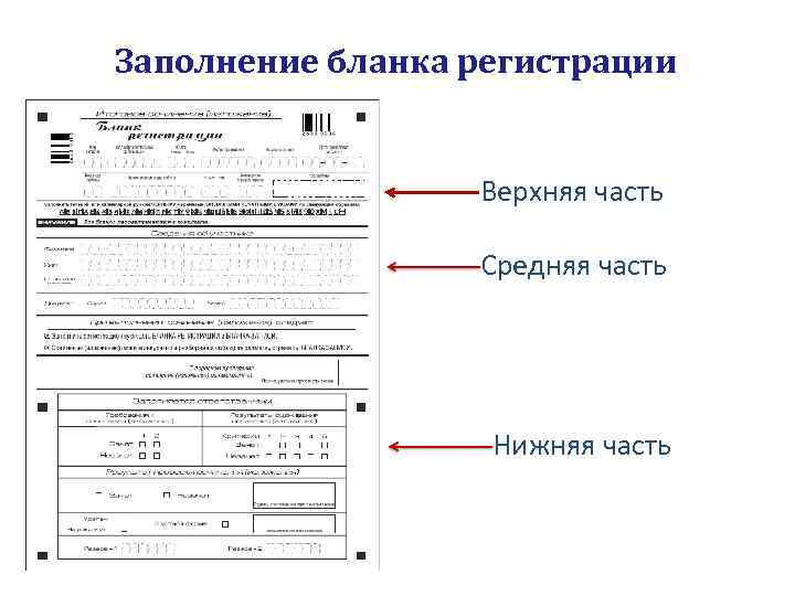 Заполнение бланка регистрации Верхняя часть Средняя часть Нижняя часть 