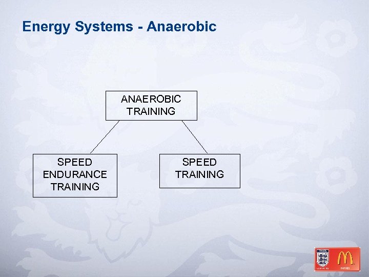 Energy Systems - Anaerobic ANAEROBIC TRAINING SPEED ENDURANCE TRAINING SPEED TRAINING 