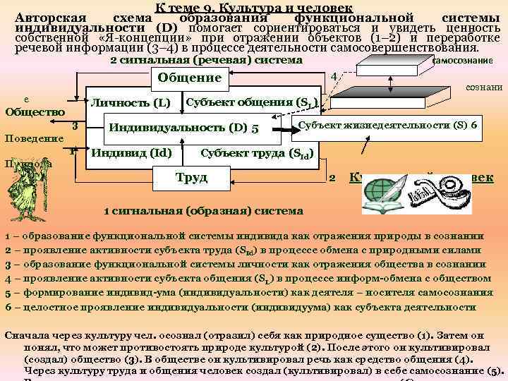 К теме 9. Культура и человек Авторская схема образования функциональной системы индивидуальности (D) помогает