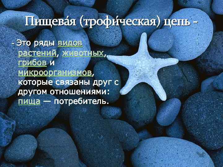 Пищева я (трофи ческая) цепь - - Это ряды видов растений, животных, грибов и