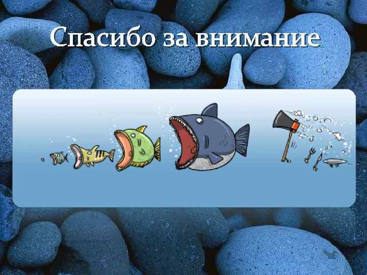 Спасибо за внимание 